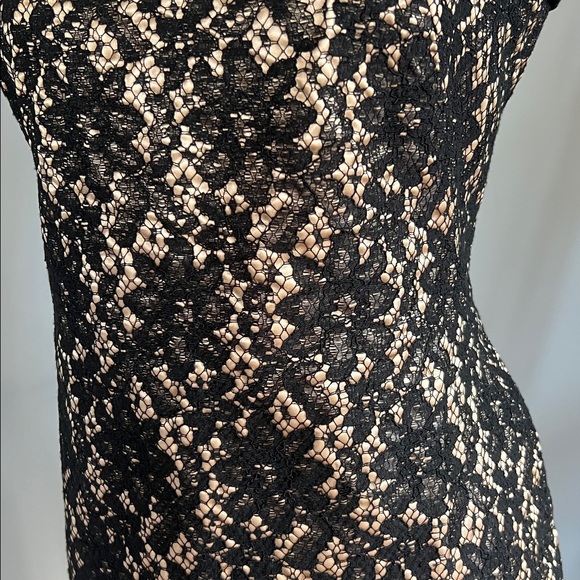 Talbots Lace Sheath Dress - Picture 4 of 10